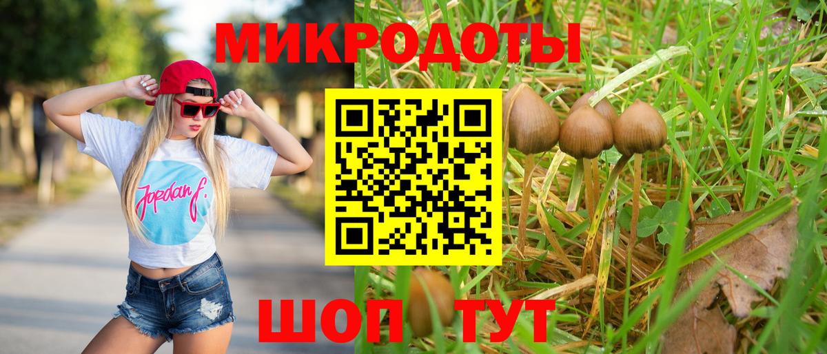 Псилоцибиновые грибы мухоморы  Псилоцибиновые грибы мицелий  Вход с VPN  Ефремов 