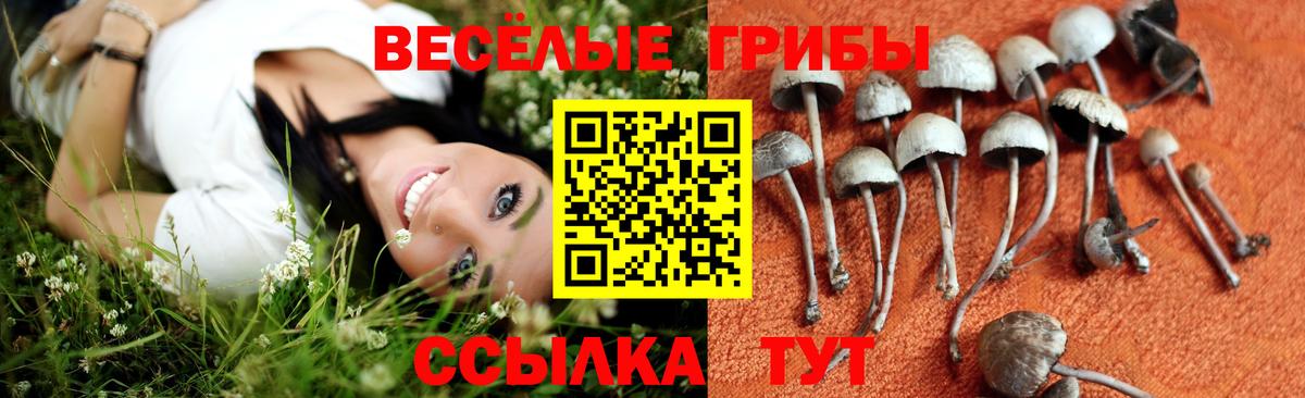 Псилоцибиновые грибы MAGIC MUSHROOMS Ефремов